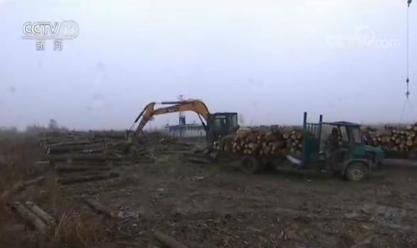 ���������һҳ