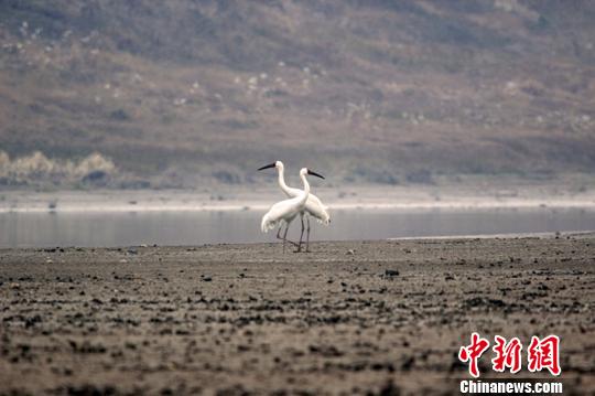 ����ͼ���׺���۶��������Ϸ�����Ը߸衣���Ƴ�Ⱥ ��