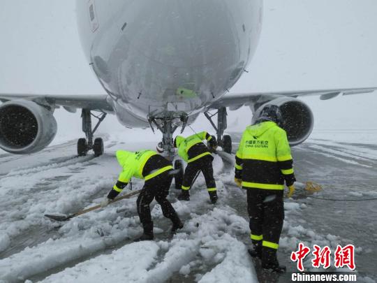 �����Ϸʳ����׼ܺ��౩ѩ��˳�����