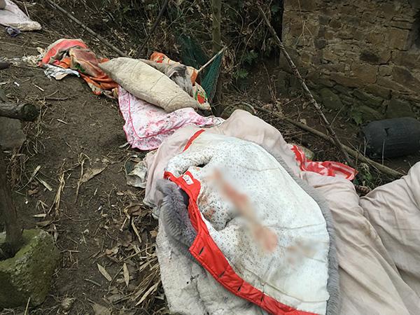 ���������һҳ