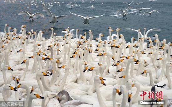 ���������һҳ