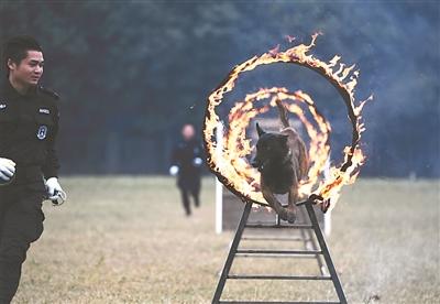 ���������һҳ