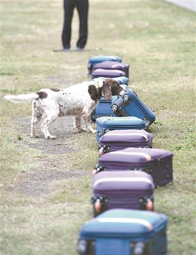 ���������һҳ