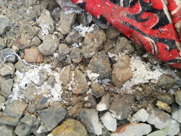 ���������һҳ