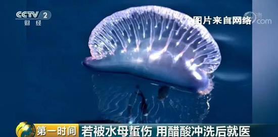 ���������һҳ