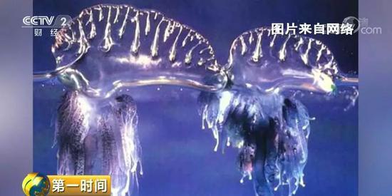 ���������һҳ