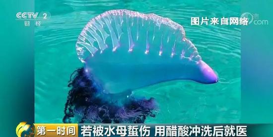 ���������һҳ