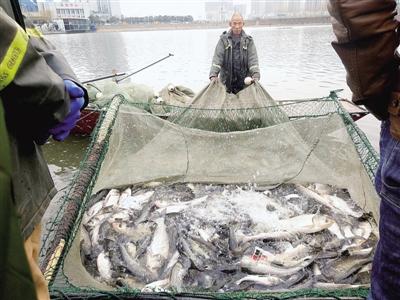 ���������һҳ