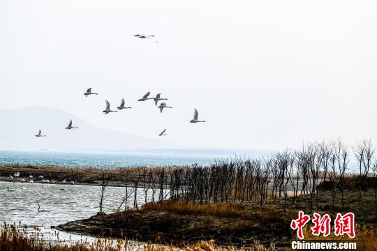 �������֮�硱�ٳ�����ֻ����챱Ǩ����ͼ��