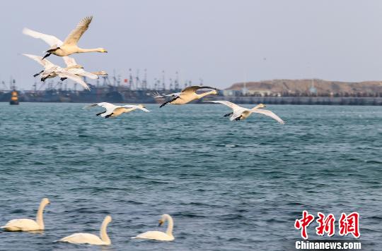 ���������ϰ��ɡ����䡢���еȶ�����Ϊ�����硱����������³�� ��