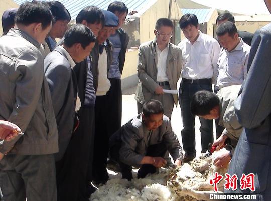 ����ġ������ˡ������������ʮ�����ƽ���������