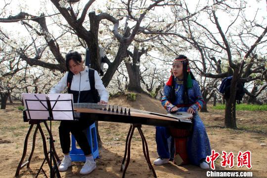 �滨���£����ݡ��ֹı������滨���������ӳ��������� ��