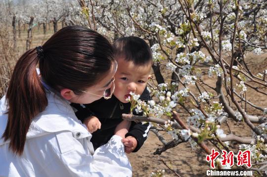 �ҳ������ӹ�ͬ�����滨������������� ��