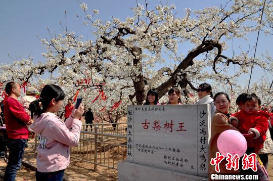 �ӱ���Ұǧ�����԰���ִ���386����������ܳ衱