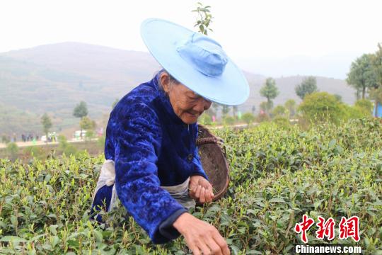 ��ũ���ڲɲ衣����� �� ����� ��