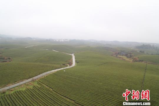 ����ʡ��������̶�ز躣��������� ��