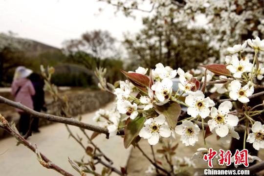 �ຣ���ҹȵأ�ǧ�������滨��