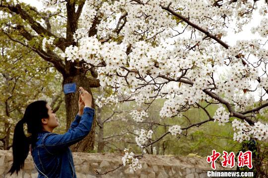 ͼΪ�ο�Ľ�����ա��������� ��