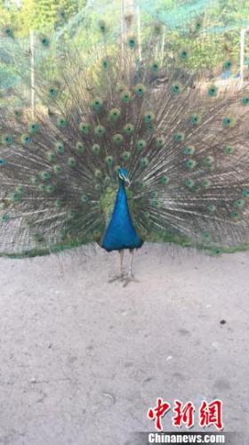 ���������һҳ