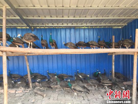 ���������һҳ