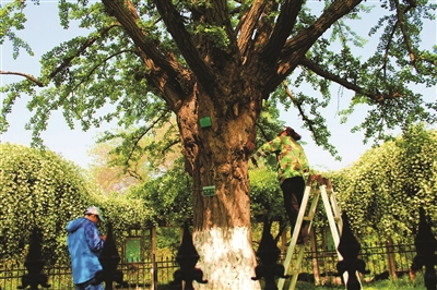 ���������һҳ