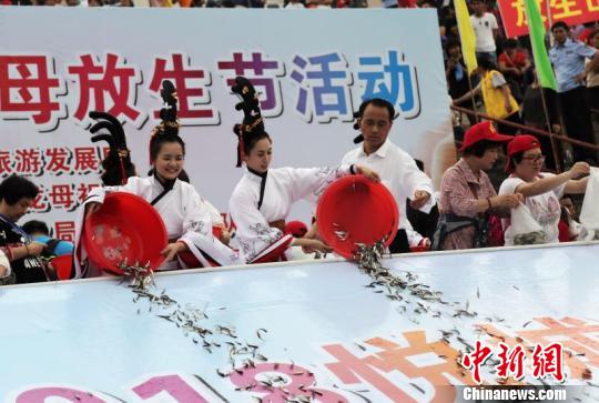 �ڶ���ʿ��������������� ��