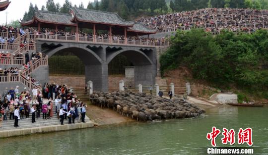 ͼ˵����������꽭��ţ�ڿ�բ��ţ�����ֳ��������� �� ������ ��