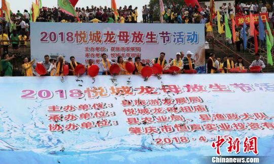 �ڶ���ʿ��������������� ��