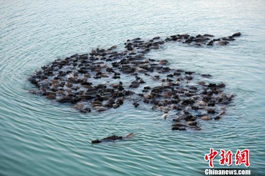 ͼ˵������ţ�ɽ�����̬��ۡ������� �� ������ ��