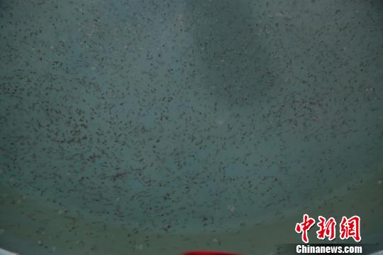 �½��ɹ��������������������ɻ50��β��ͼ��