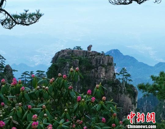 ���գ��������ŵĻ�ɽ�ž���ɽ�ϵĹ�ʯ��ӳ��Ȥ�����ܺ� ��