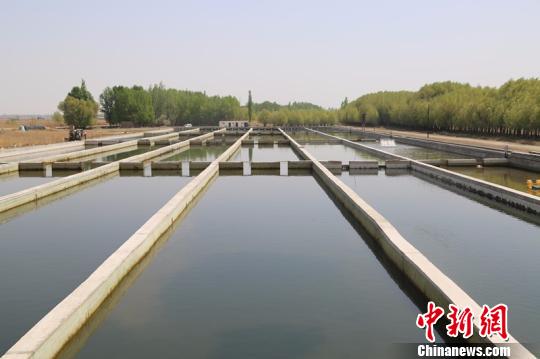 ��������������ˮ����ֳ���ؽ���24����ֳ�ء��������� ��