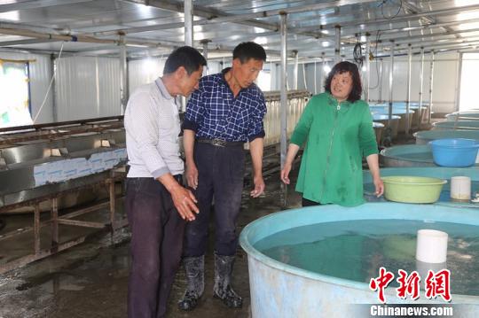 �����������������������۲�С��������������������� ��