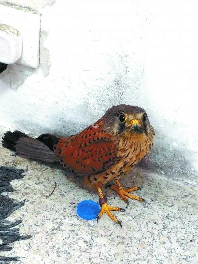 ���������һҳ