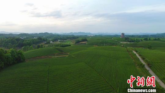 ���Ĺ�����̶����Ķ�躣�������ĺ��� ��