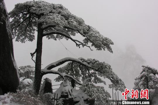 ���ջ�ɽӭ������ѡ���й�����������