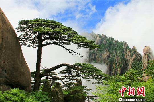 ��ɽӭ����(����ͼ)��ɽ�羰��԰�־ֹ�ͼ