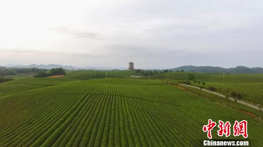 ���Ĺ�����̶����Ķ�躣�������ĺ��� ��