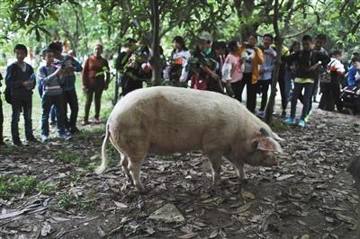 ���������һҳ