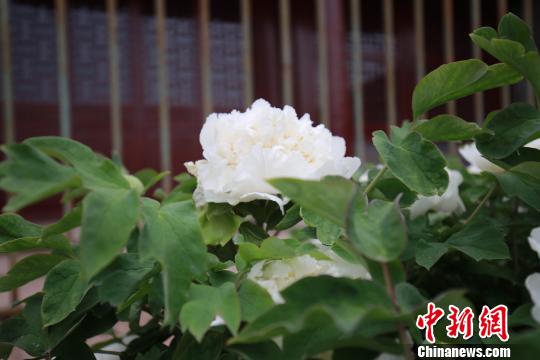 ���䳬300����İ�ĵ��������Ȼ�������� �ش��� ��