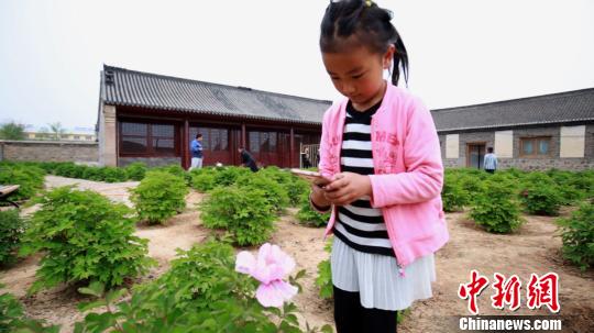 С�����������й���ҩ԰��רע��������ҩ�� �ش��� ��