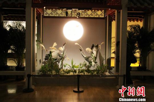 ��ʪ�ؾ��顪��ɽ������걾չ��18����ɽ���������ʽ��չ���������� ��