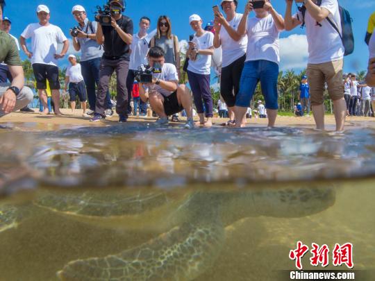 ���걻�����ع�� ���Ʒ� ��