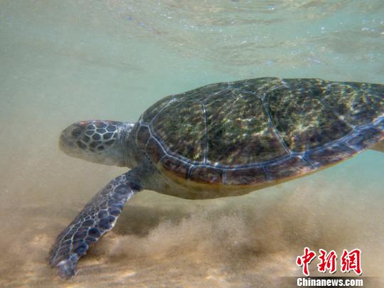 ���걻�����ع�� ���Ʒ� ��