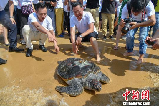 ���й�ˮ��Ұ�����ﱣ�����������ʹ�����Ƿ�������ع�� ���Ʒ� ��