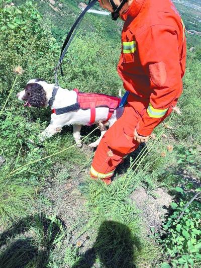 ���������һҳ