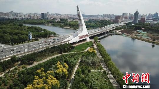 ���������ͨ�� ���� ��