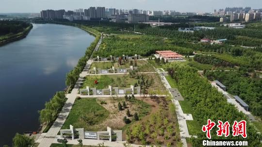 ���������ͨ�� ���� ��