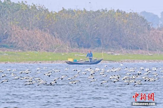 ���������һҳ