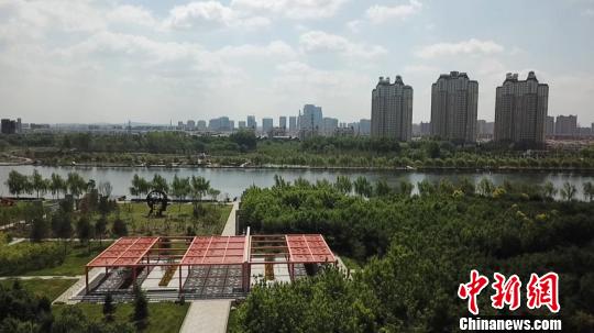 ���������ͨ�� ���� ��